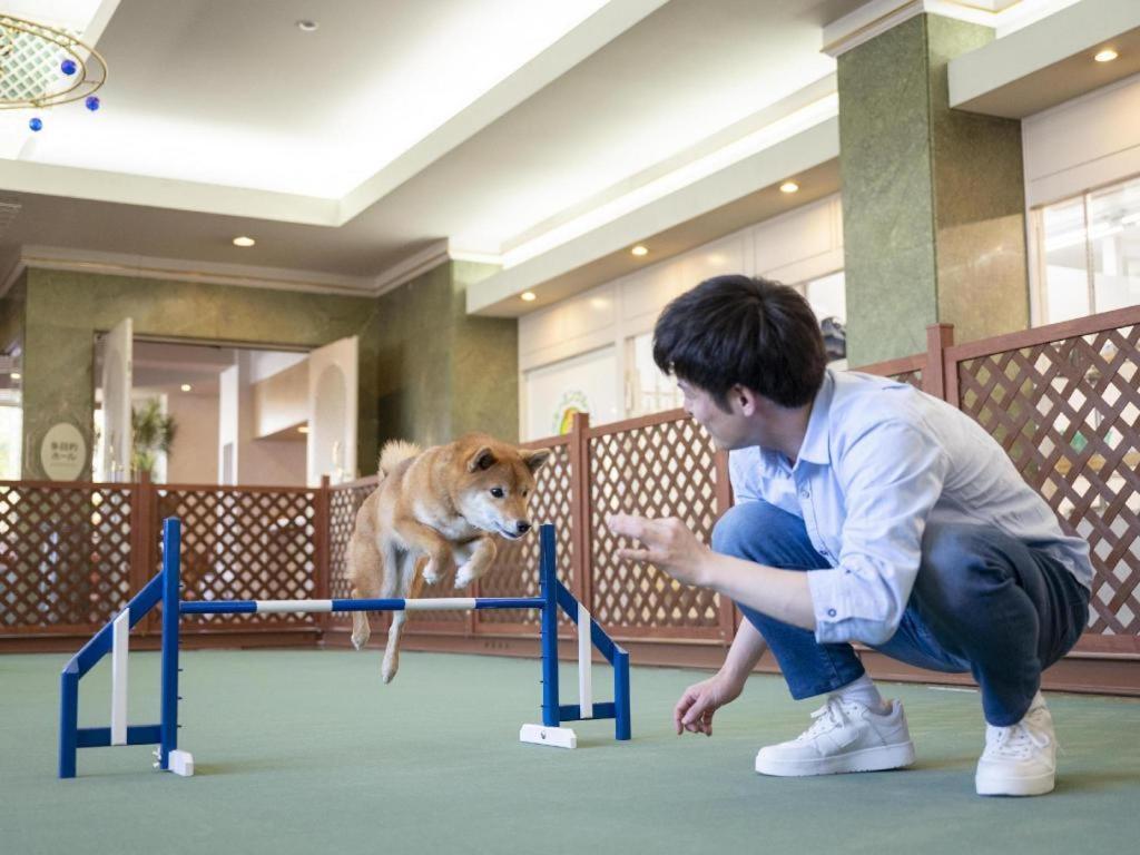 האמאמאטסו Izumigo Lake Hamanako Dog Paradise Hotel מראה חיצוני תמונה