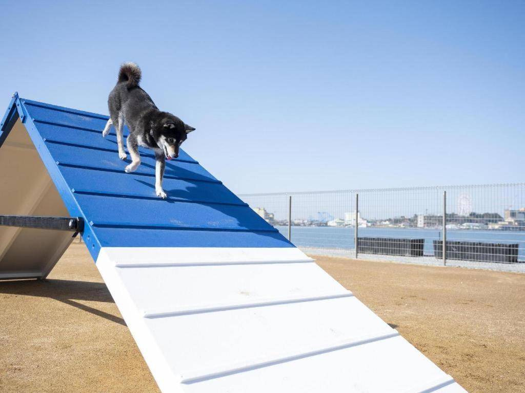 האמאמאטסו Izumigo Lake Hamanako Dog Paradise Hotel מראה חיצוני תמונה