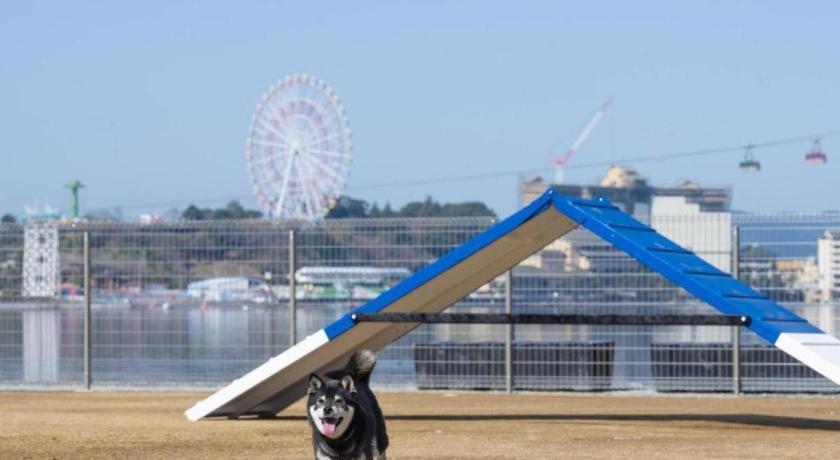 האמאמאטסו Izumigo Lake Hamanako Dog Paradise Hotel מראה חיצוני תמונה