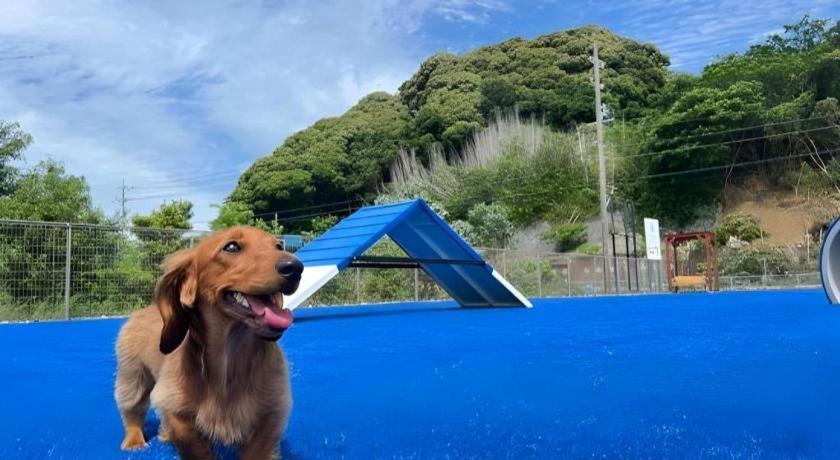 האמאמאטסו Izumigo Lake Hamanako Dog Paradise Hotel מראה חיצוני תמונה